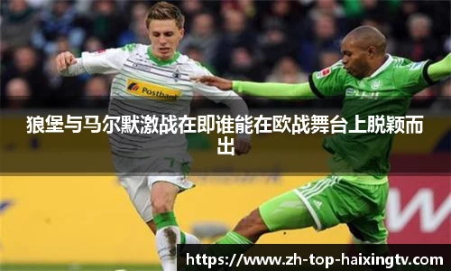 狼堡与马尔默激战在即谁能在欧战舞台上脱颖而出